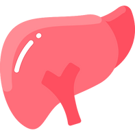 Fatty Liver